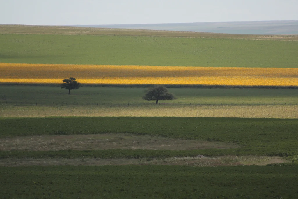 Campos y sierras al costado de un recorrido por Córdoba